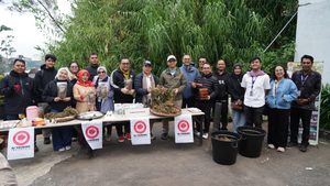 Purwaceng Dieng, Warisan Lokal Bernilai Ekonomi