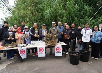 Purwaceng Dieng, Warisan Lokal Bernilai Ekonomi