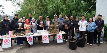 Purwaceng Dieng, Warisan Lokal Bernilai Ekonomi