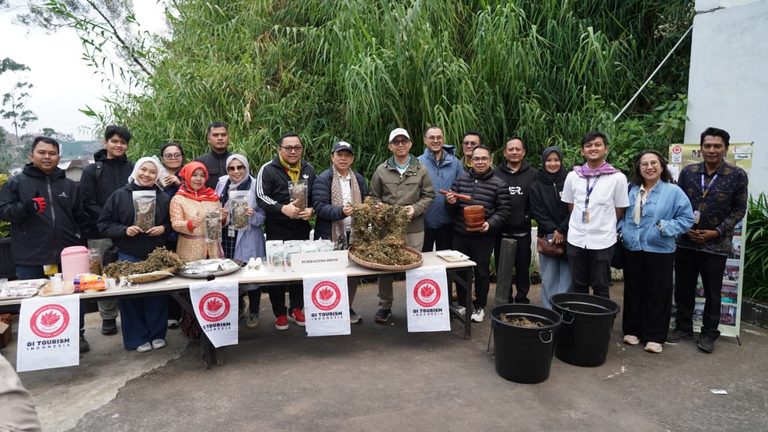 Purwaceng Dieng, Warisan Lokal Bernilai Ekonomi